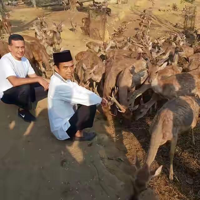 Ustad Abdul Somad Meraih Golden Play Button Dari Youtube