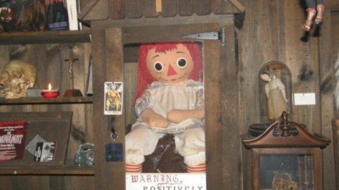 Kolektor Boneka Boneka "Berisi"