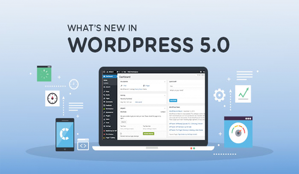 Cara Update WordPress 5.0 dan Ganti Tema Termudah