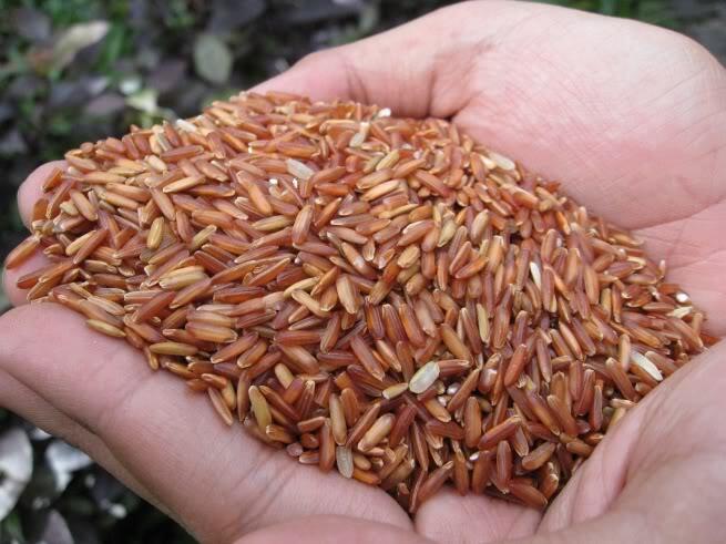 Jual Beras Merah Kualitas Super - Grosir - PT. Karya Baru Indonesia