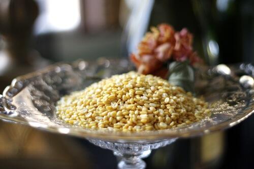 Jual Kacang Hijau Kupas Kualitas Istimewa - Grosir - PT. Karya Baru Indonesia
