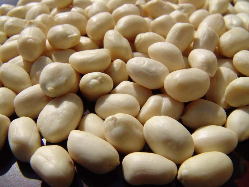 Jual Kacang Tanah Kupas - Distributor - Supplier - Grosir - PT. Karya Baru Indonesia