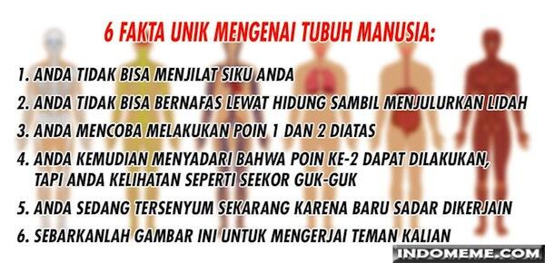 6 Fakta UNIK Yang Jarang Diketahui Orang Banyak, No 5 Bikin Geleng-Geleng Kepala