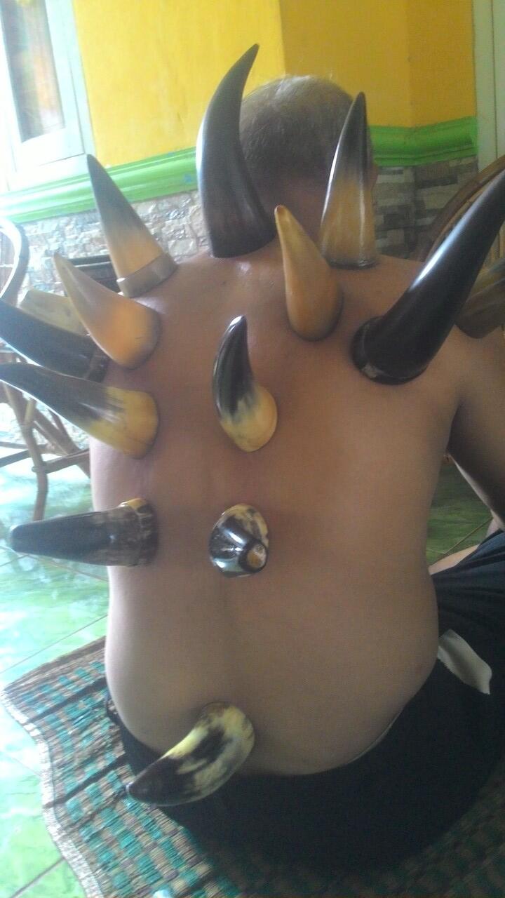 unik bekam tanduk