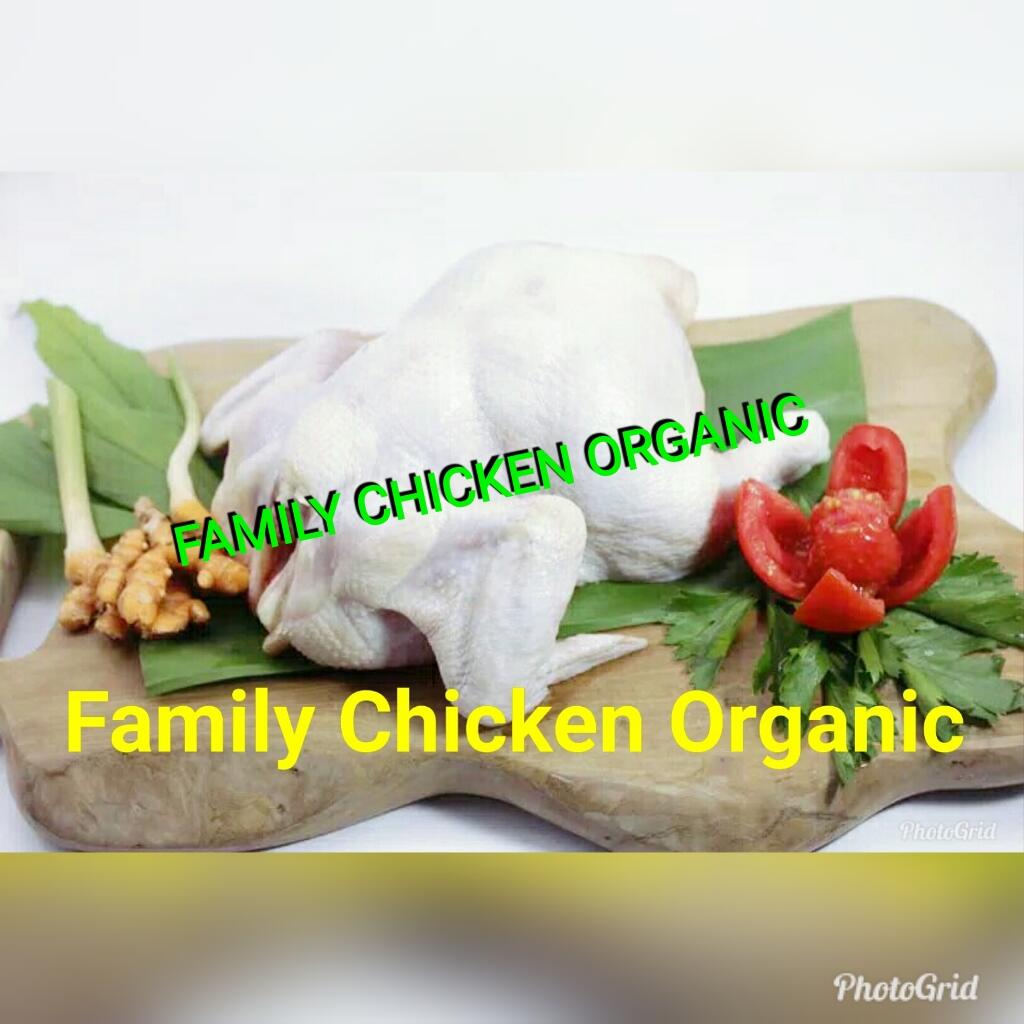 HARGA KERJASAMA AGEN "FAMILY CHICKEN ORGANIC"