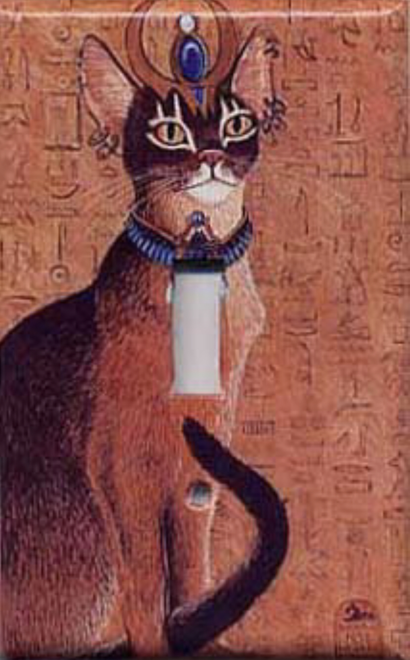 Kenal dekat kucing Cleopatra - Abysinian 