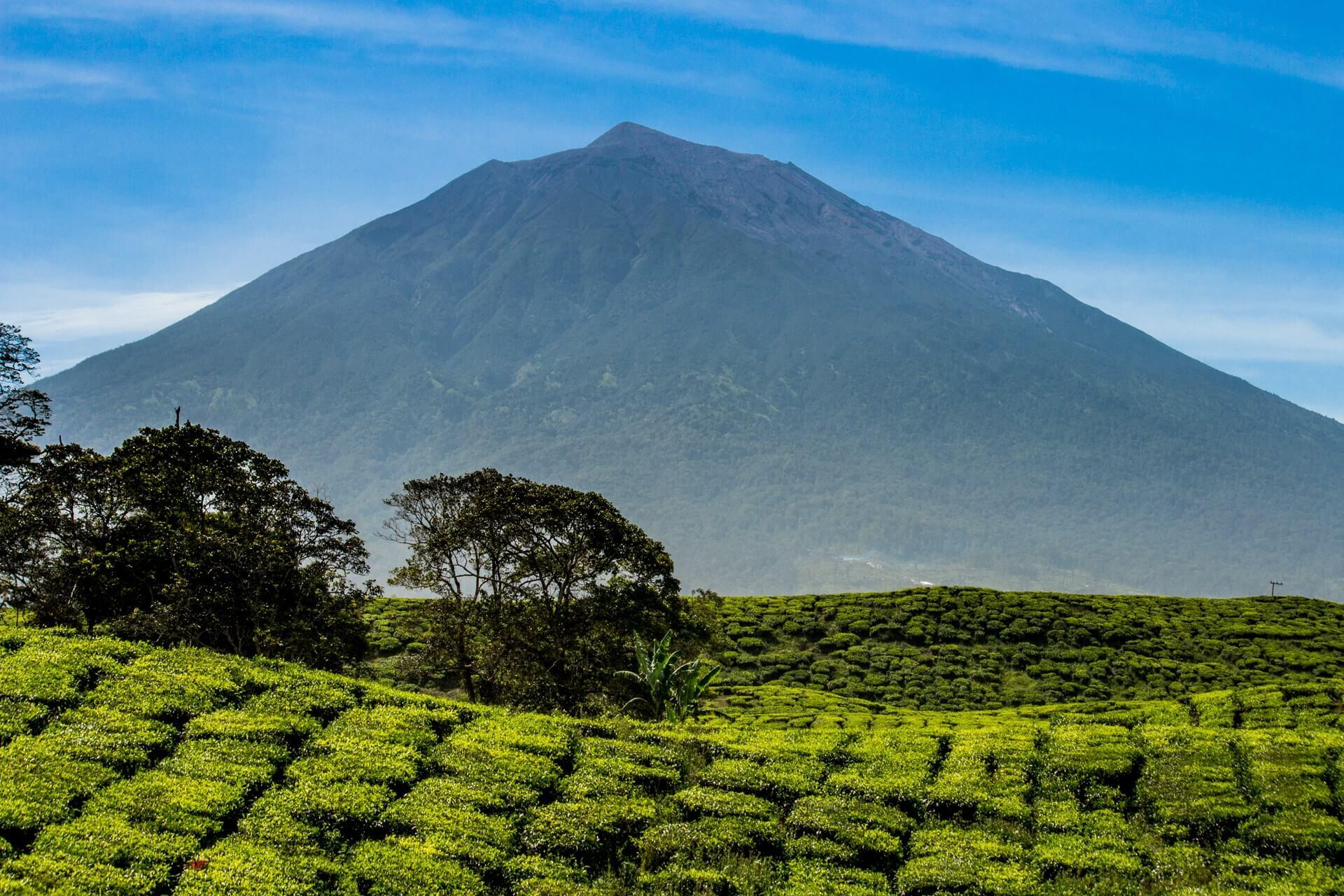 10 Gunung Api Terfavorit di Indonesia, Jadi Incaran Pendaki Dunia