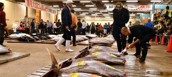 5 Pasar Terkenal di Jepang buat Referensi Liburan Kamu