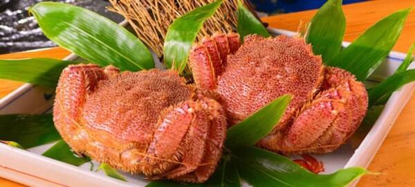 5 Pasar Terkenal di Jepang buat Referensi Liburan Kamu
