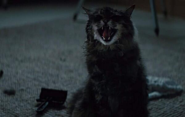 5 Fakta Film Horor 'Pet Sematary' yang Menghantui Kursi Bioskop