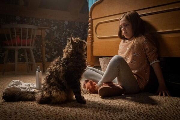 5 Fakta Film Horor 'Pet Sematary' yang Menghantui Kursi Bioskop