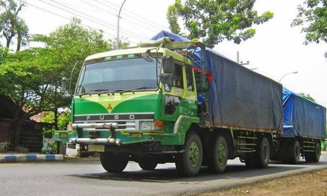 6 Hal akan Terjadi Jika MANUSIA Punya SAYAP Dan Bisa TERBANG..