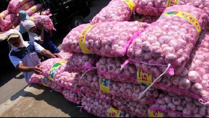 Impor Bawang China oleh Bulog, Tak Sehat