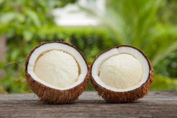 Jarang Diketahui, Ini 7 Manfaat Kentos Kelapa untuk Kesehatan Tubuh
