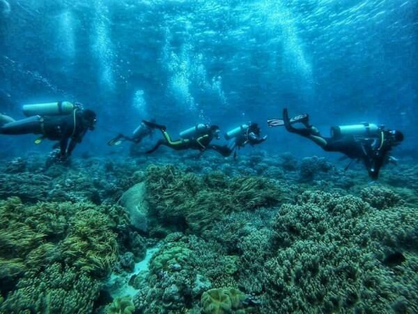 5 Pantai Tersembunyi di Ambon Ini Punya Pesona yang Bikin Malas Pulang