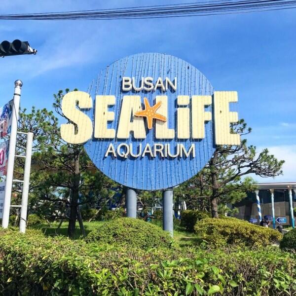 Selain Seoul, Ini 5 Alasan Kamu Harus Berkunjung ke Busan
