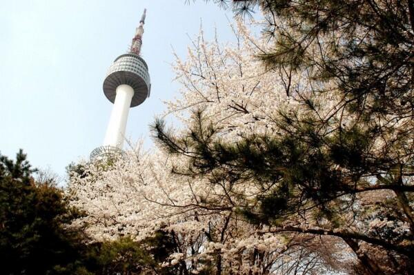 5 Destinasi Wisata Unik di Korea Selatan ala Drama Boys Over Flowers