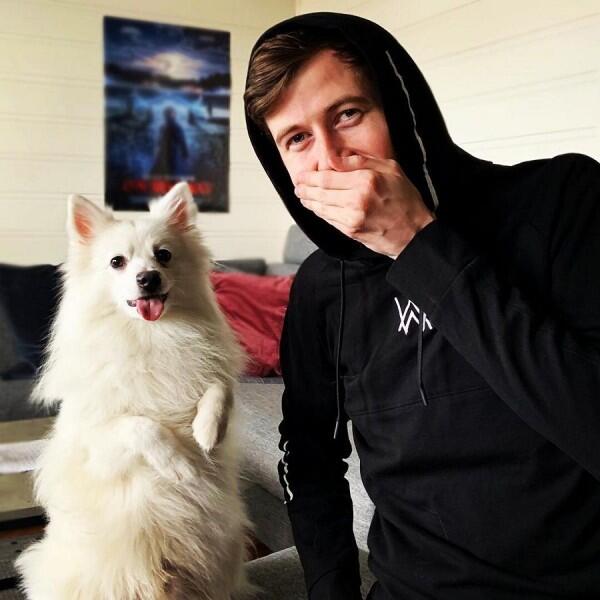 Keren Banget, 8 Foto Ini Tunjukan Wajah Asli Alan Walker tanpa Masker