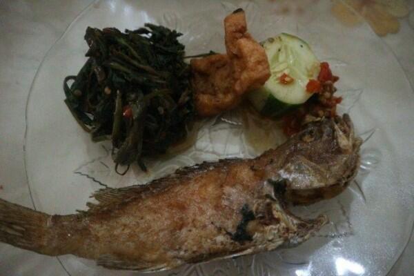 Review Ayam Nelongso, Makan Murah Meriah dengan Sambal Sepuasnya