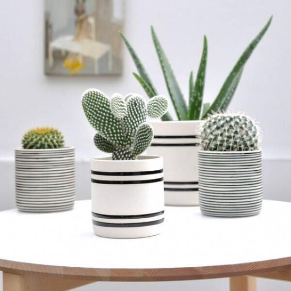 10 Ide Dekorasi Pot Lucu dan Unik, Kreatif Banget!