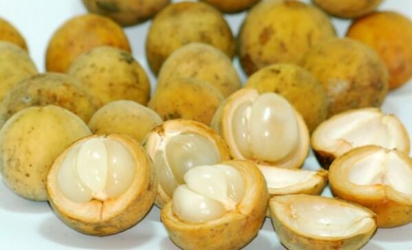 Waspada! 7 Makanan Ini Ternyata Bisa Picu Kanker Otak