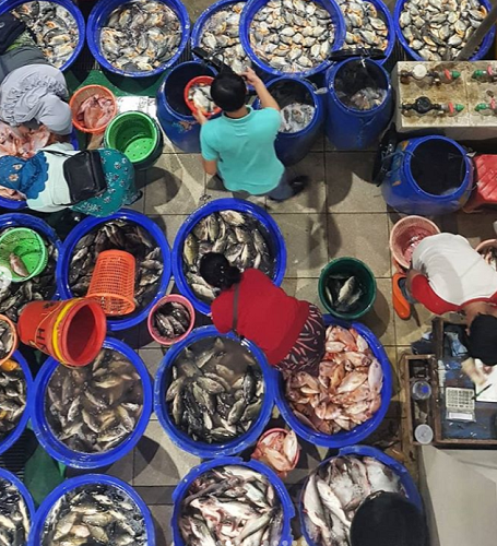 Pasar Ikan Modern Muara Baru, Tsukiji Market-nya Indonesia Nih!