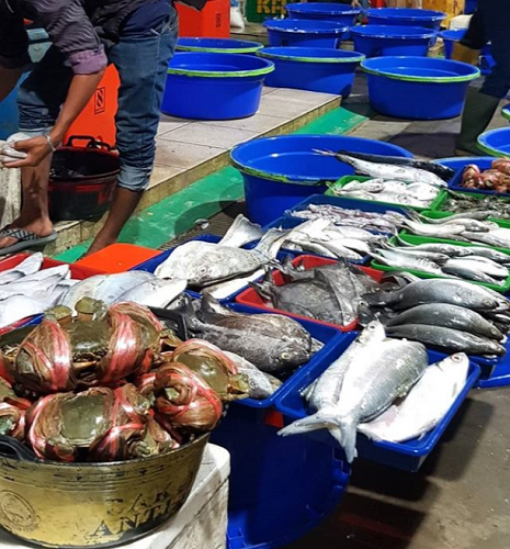 Pasar Ikan Modern Muara Baru, Tsukiji Market-nya Indonesia Nih!