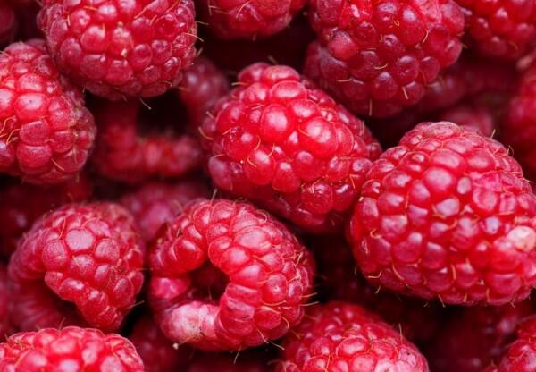 Catat! Inilah 5 Buah-buahan yang Bisa Meningkatkan Kesehatan Ginjalmu