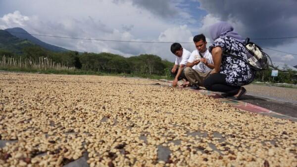 Kementan Targetkan Sejuta Petani Millennial