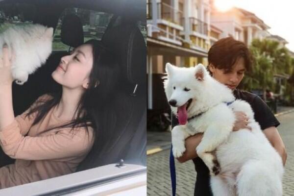 10 Momen Manis Artis dengan Binatang Peliharaannya, So Sweet Banget!