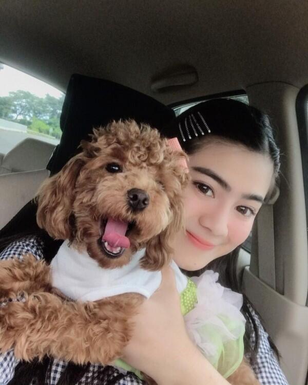 10 Momen Manis Artis dengan Binatang Peliharaannya, So Sweet Banget!