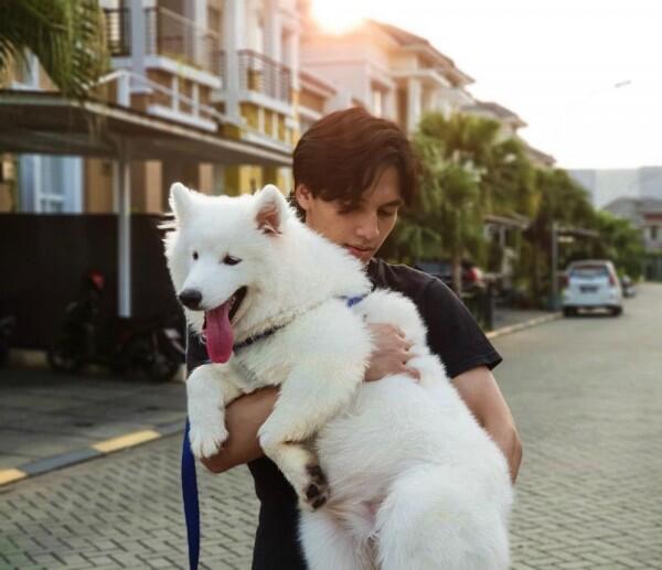 10 Momen Manis Artis dengan Binatang Peliharaannya, So Sweet Banget!