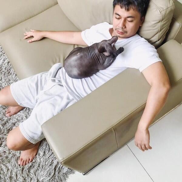 10 Momen Manis Artis dengan Binatang Peliharaannya, So Sweet Banget!