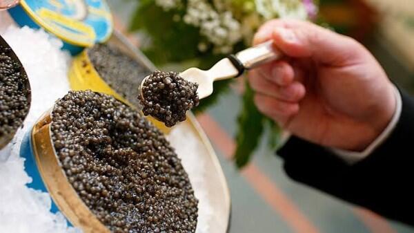 Bukan Cuma Mewah, 5 Manfaat dari Caviar yang Baik untuk Kesehatan