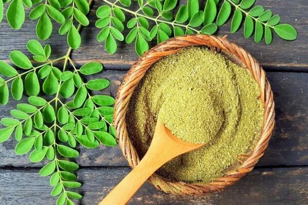 Berdaun Kecil, Ternyata 6 Manfaat Besar Ini Ada di Daun Kelor Lho!