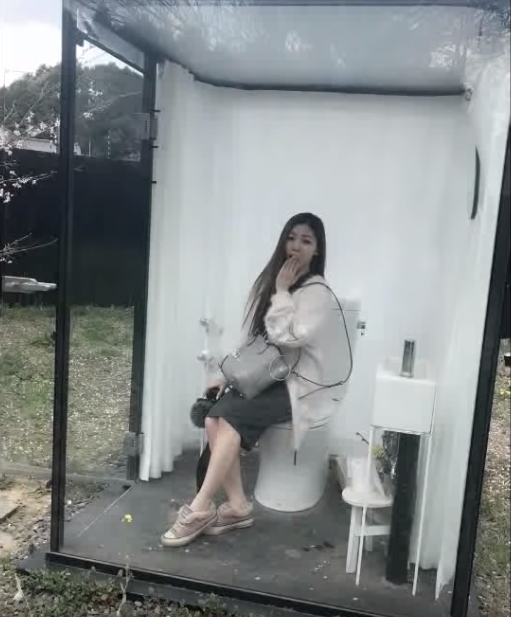 Toilet Unik Di Jepang, Seperti Apa?