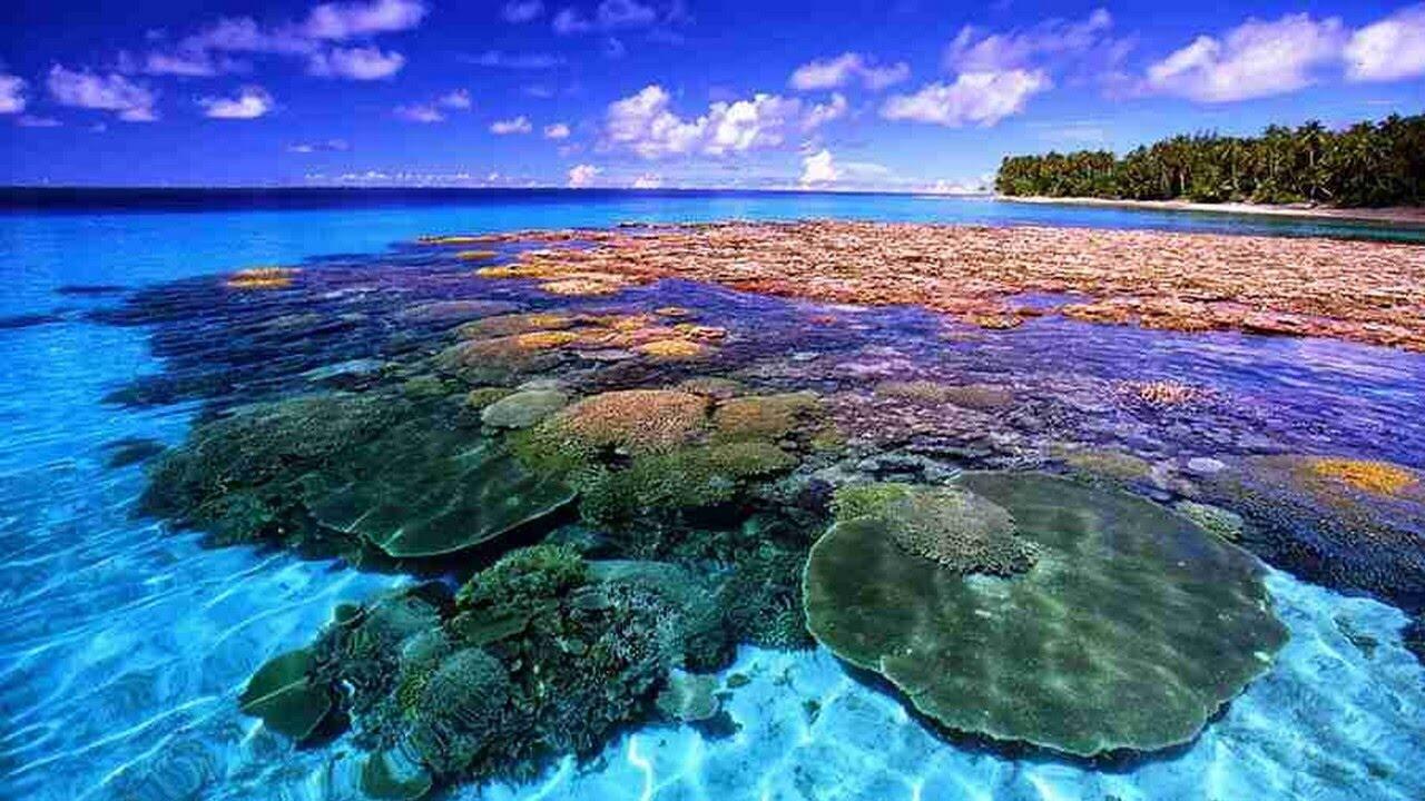 popular tourist attractions in Manado