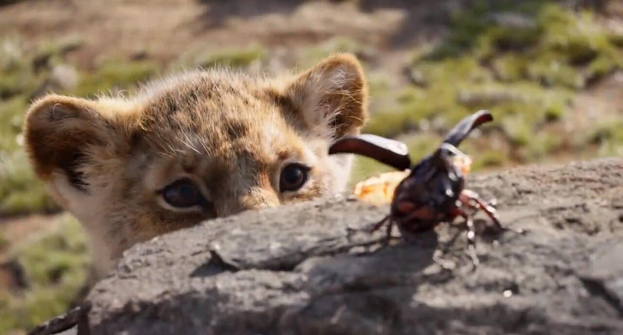 Detik per Detik Trailer Terbaru Live Action 'Lion King', Simbanya Gemesh!