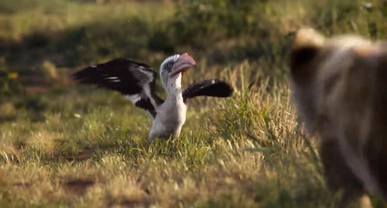 Detik per Detik Trailer Terbaru Live Action 'Lion King', Simbanya Gemesh!