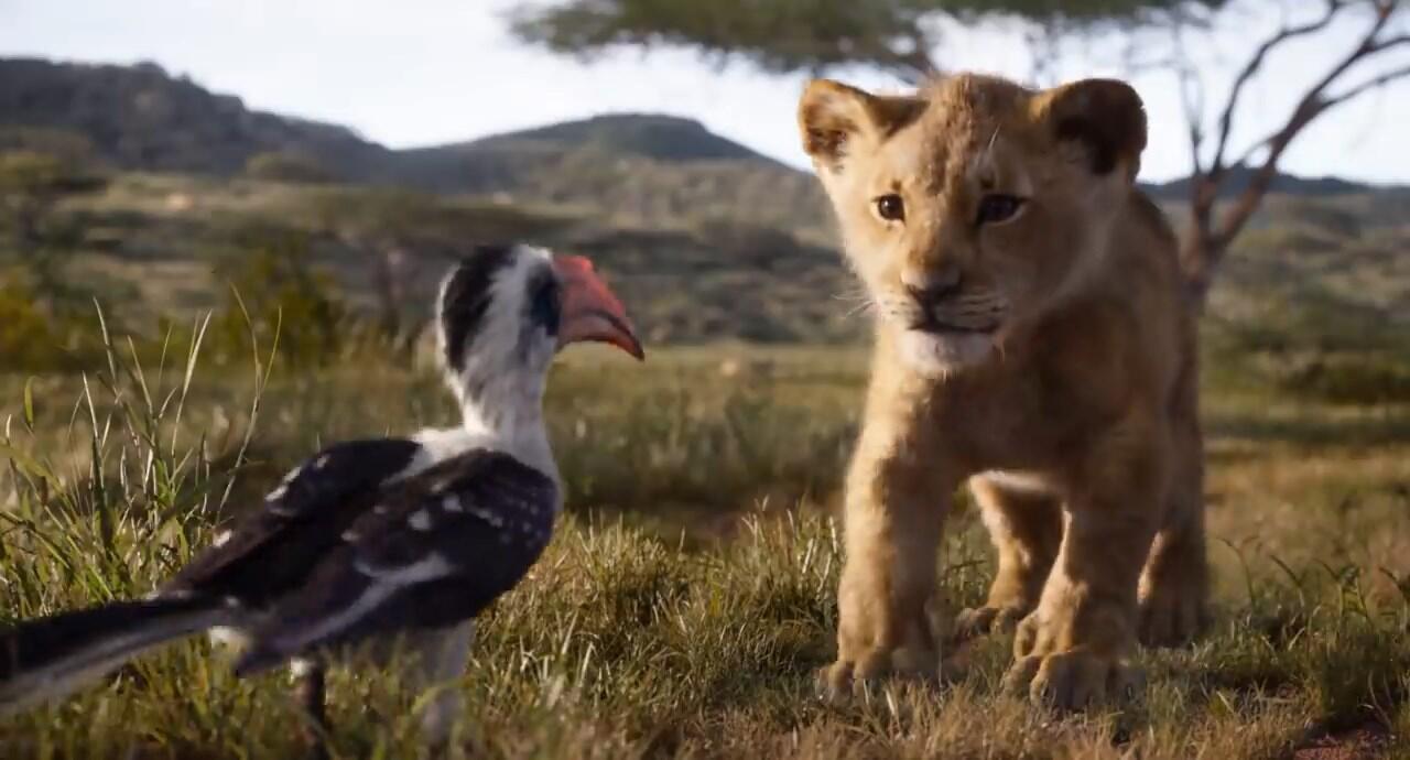 Detik per Detik Trailer Terbaru Live Action 'Lion King', Simbanya Gemesh!