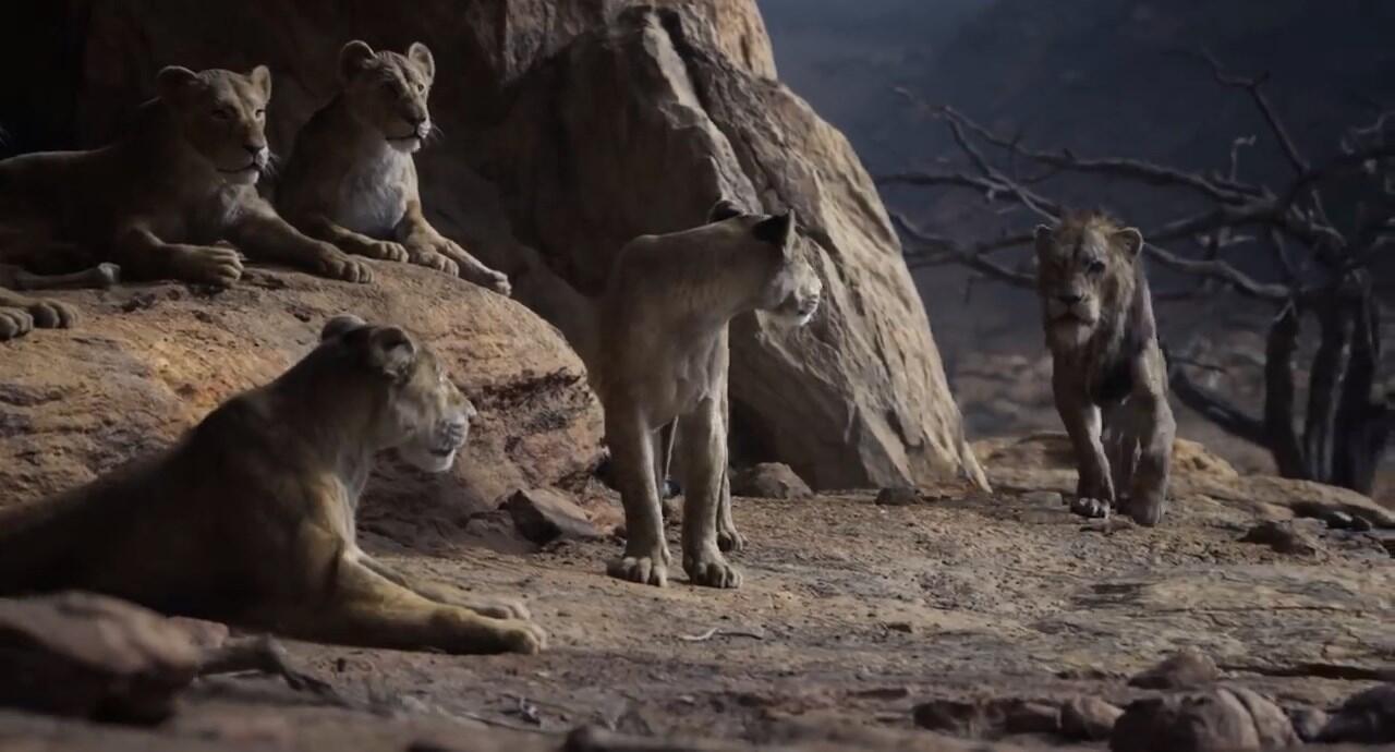 Detik per Detik Trailer Terbaru Live Action 'Lion King', Simbanya Gemesh!