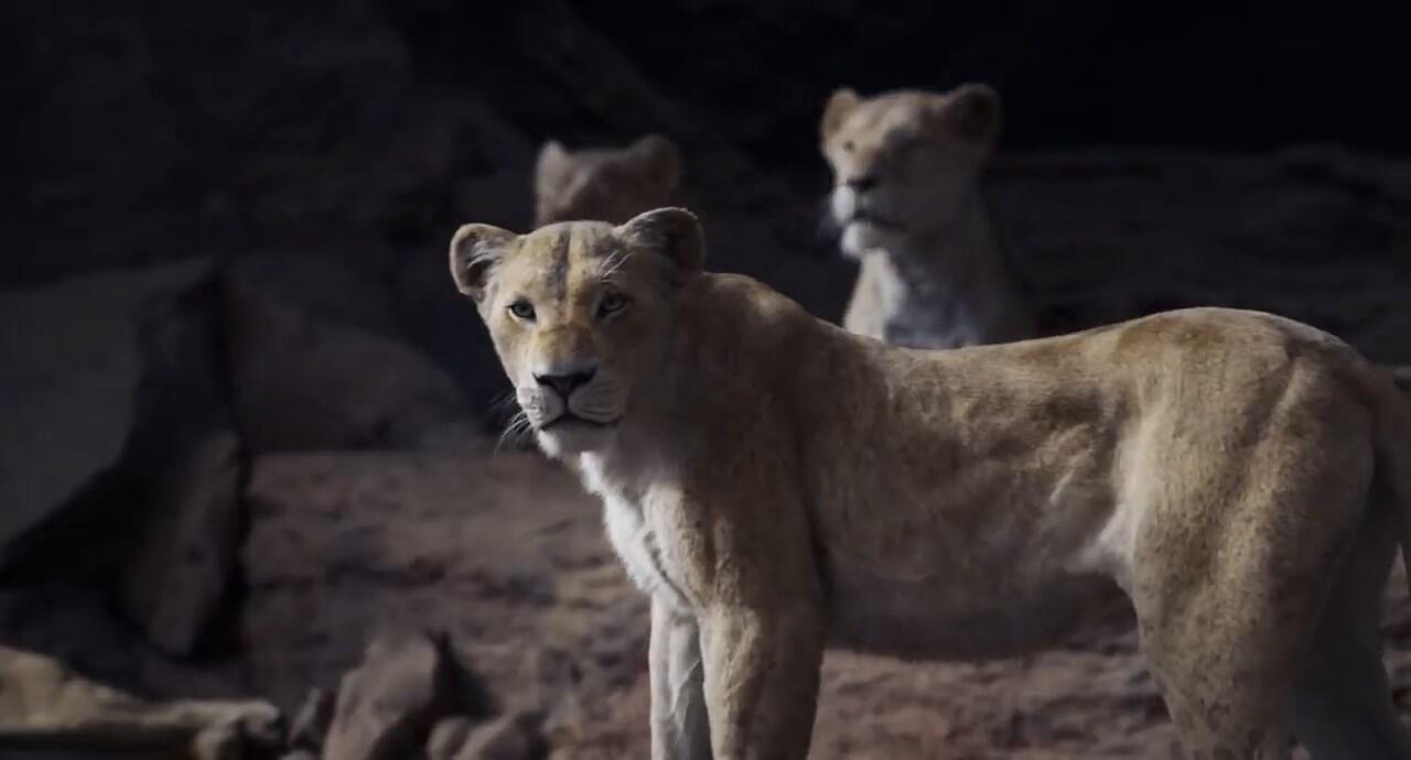 Detik per Detik Trailer Terbaru Live Action 'Lion King', Simbanya Gemesh!