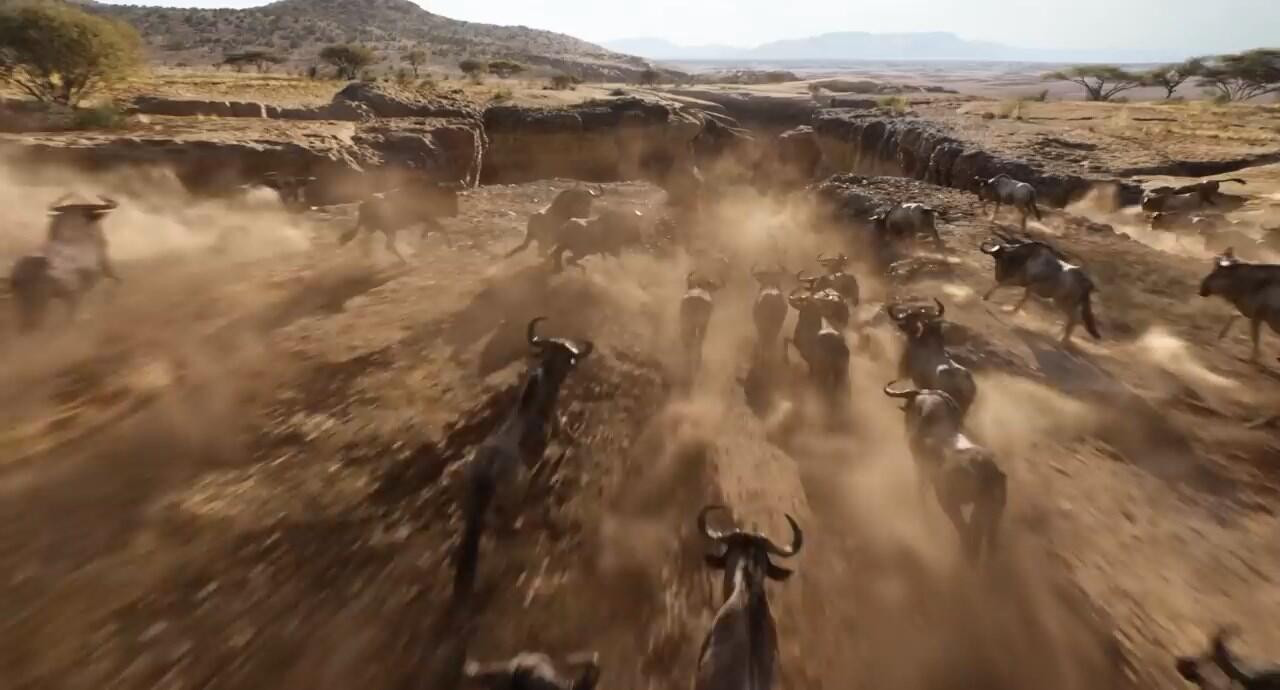 Detik per Detik Trailer Terbaru Live Action 'Lion King', Simbanya Gemesh!