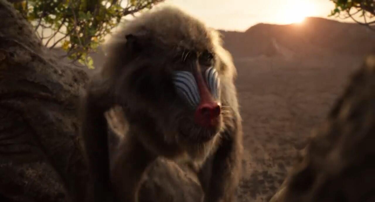 Detik per Detik Trailer Terbaru Live Action 'Lion King', Simbanya Gemesh!