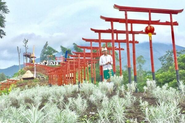 5 Fakta Taman Jinja, Destinasi Wisata Hits Ala Negeri Sakura di Bali