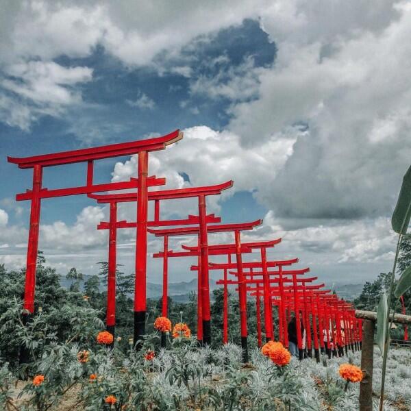 5 Fakta Taman Jinja, Destinasi Wisata Hits Ala Negeri Sakura di Bali