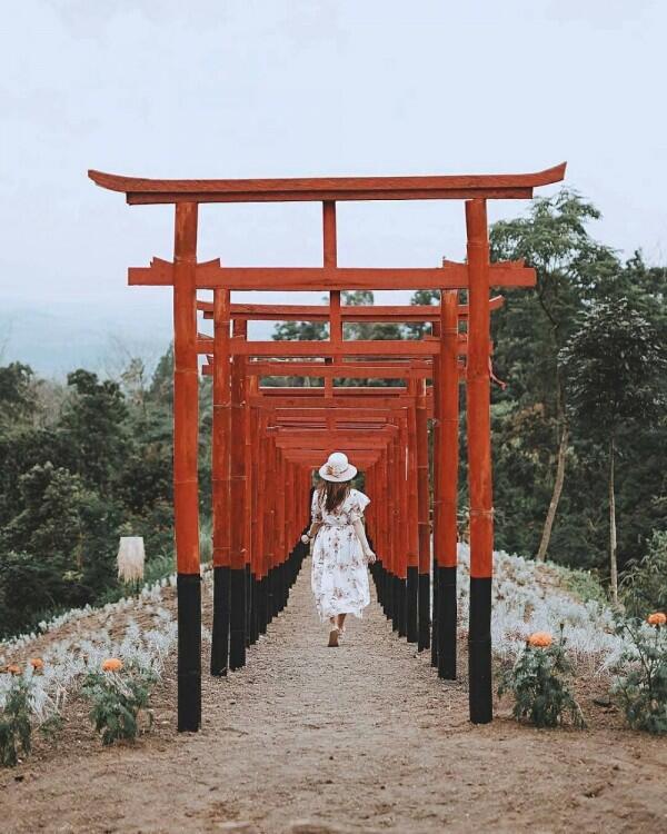 5 Fakta Taman Jinja, Destinasi Wisata Hits Ala Negeri Sakura di Bali
