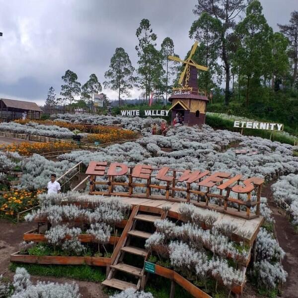 5 Fakta Taman Jinja, Destinasi Wisata Hits Ala Negeri Sakura di Bali