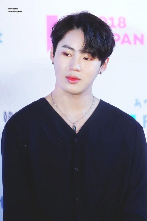 Sukses Berkarier Solo, 10 Fakta Ha Sung Woon eks Wanna One