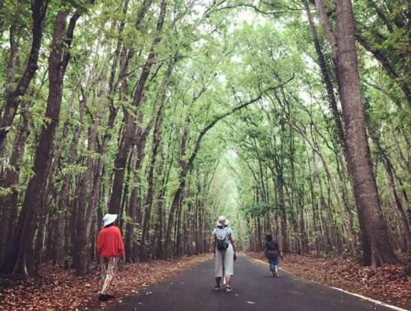 10 Wisata yang Dikenal Paling Horor di Pulau Jawa, Berani ke Sini?